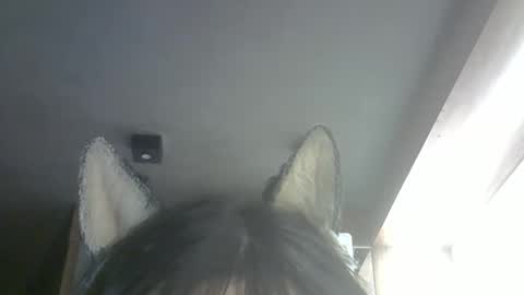 skinnykittencam online show from 26, 2, 2026