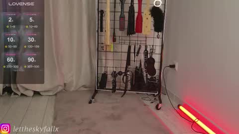 Snapshot of sky011fall chatting on 5, 11, 2025 Eliza online show from 5, 11, 2025