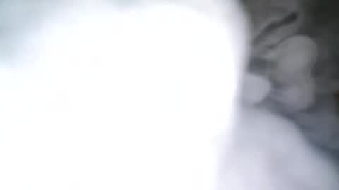 skyonetoo3 online show from 21, 10, 2025