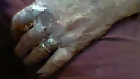 ResqPylot2 online show from 4, 2, 2026