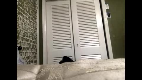 Slangindopee online show from 22, 1, 2025