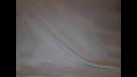 Snapshot of slava12345679 chatting on 4, 2, 2025 Alisa online show from 4, 2, 2025