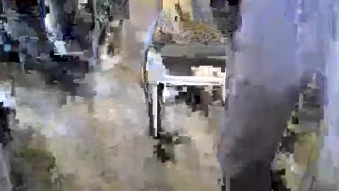 sledge2021 online show from 17, 11, 2025