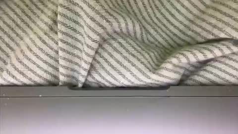 Snapshot of slice5 chatting on 21, 3, 2026 slice5 online show from 21, 3, 2026