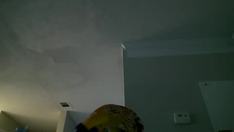 slimmmgooodiexoxo online show from 26, 9, 2025