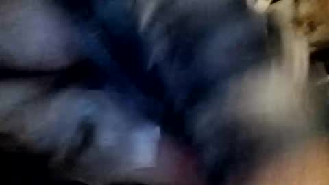 Snapshot of slutbreeze101 chatting on 23, 2, 2026 slutbreeze101 online show from 23, 2, 2026