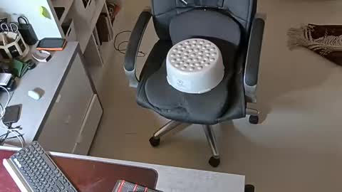 Snapshot of sluttygina1 chatting on 28, 1, 2025 sluttygina1 online show from 28, 1, 2025