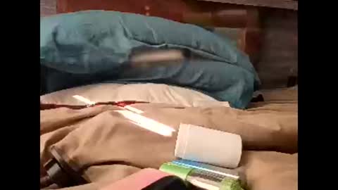 Snapshot of sluttyslut123797367 chatting on 30, 3, 2026 Nastyguurl online show from 30, 3, 2026