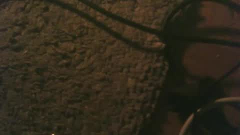 Stoffel online show from 22, 11, 2025