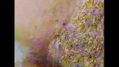 Snapshot of smallhairyuncut chatting on 26, 2, 2025 Small Hairy Uncut online show from 26, 2, 2025