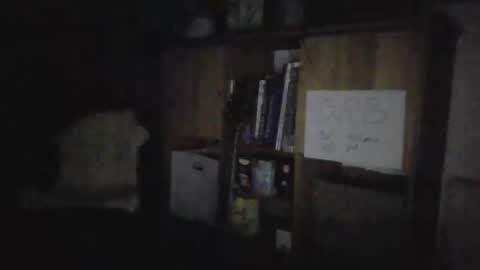 Snapshot of smiling_hillbilly chatting on 27, 1, 2025 smileing hillbilly online show from 27, 1, 2025