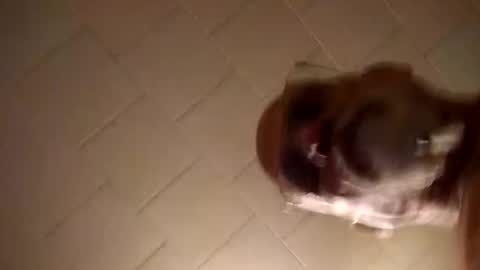 Smithology online show from 19, 12, 2024