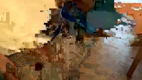 Peter Johnson online show from 24, 12, 2024