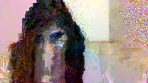 Snapshot of smurdle11 chatting on 25, 10, 2025 smurdle online show from 25, 10, 2025