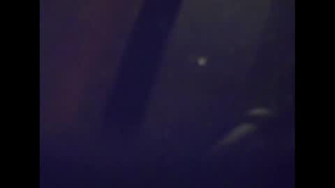 Mark online show from 15, 1, 2025