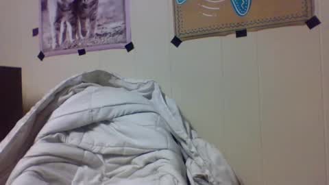 snake1eye67959 online show from 24, 12, 2024