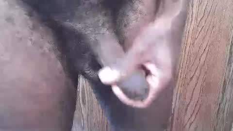 snkr1244 online show from 13, 9, 2025