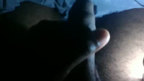 snkr1244 online show from 10, 11, 2025