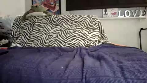 MicroAngelo online show from 2, 11, 2025