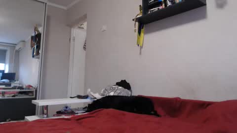 Snapshot of sofi_delightful chatting on 11, 11, 2025 Sofi online show from 11, 11, 2025