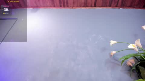Sofia online show from 15, 12, 2024