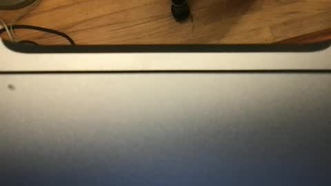 Snapshot of soflastiffyboy69 chatting on 13, 11, 2025 soflastiffyboy69 online show from 13, 11, 2025