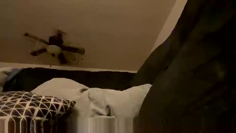 soharddr online show from 6, 11, 2025