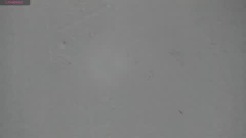 sophia_ebony___ online show from 15, 3, 2026