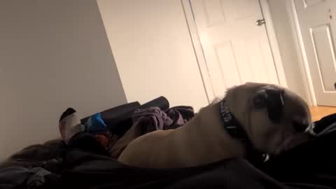 souls6207 online show from 15, 3, 2026