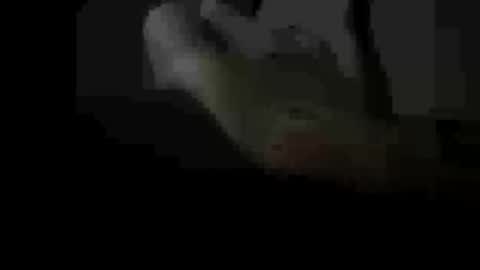 Snapshot of soulsurfer1985 chatting on 11, 3, 2026 soulsurfer1985 online show from 11, 3, 2026