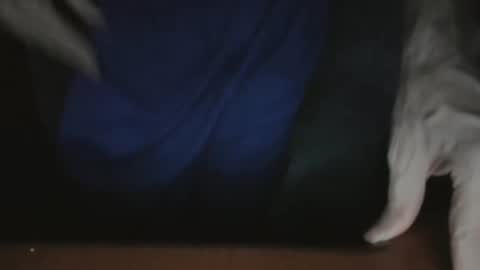 Snapshot of southflaman chatting on 22, 11, 2025 ScorpioKobra online show from 22, 11, 2025