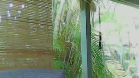 Snapshot of soveryhandsome chatting on 4, 1, 2025 soveryhandsome online show from 4, 1, 2025