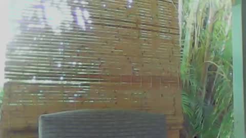 Snapshot of soveryhandsome chatting on 9, 1, 2025 soveryhandsome online show from 9, 1, 2025