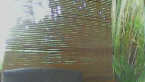 Snapshot of soveryhandsome chatting on 18, 1, 2025 soveryhandsome online show from 18, 1, 2025