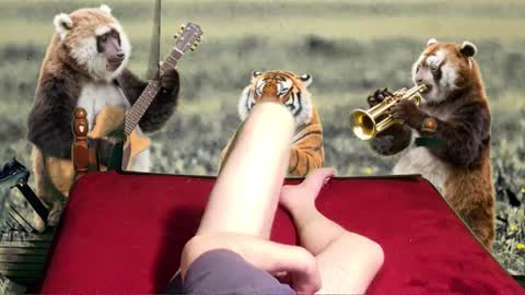 soymigo online show from 11, 2, 2026