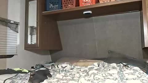 speedo_tx online show from 7, 3, 2026