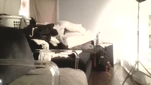 Snapshot of speedsoldier chatting on 13, 10, 2025 speedsoldier online show from 13, 10, 2025