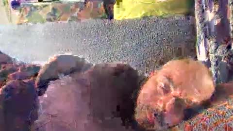 srekos38 online show from 10, 10, 2025