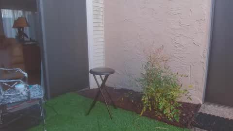 srtxshow online show from 13, 3, 2026