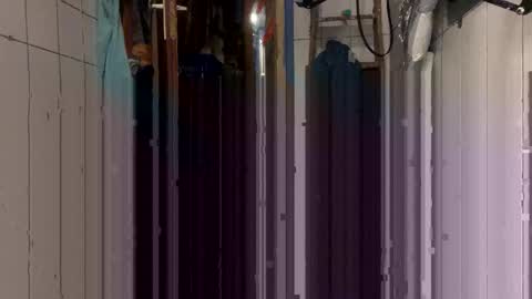 stambo0704987834 online show from 8, 1, 2026