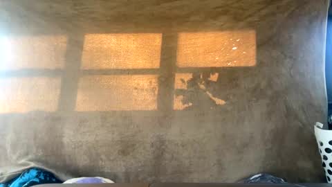 starbie online show from 30, 12, 2024