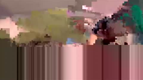 starbie online show from 19, 3, 2026