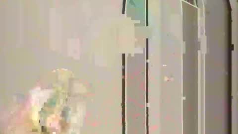 steedmont online show from 30, 11, 2025