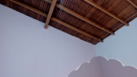 stefie online show from 6, 1, 2025