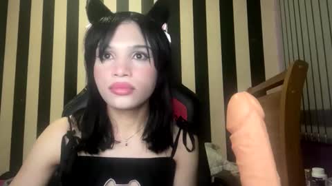 stellapapillon online show from 10, 2, 2026