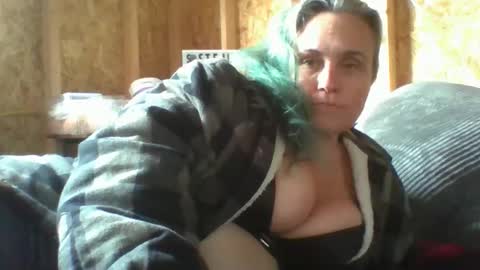 Stella online show from 12, 1, 2026