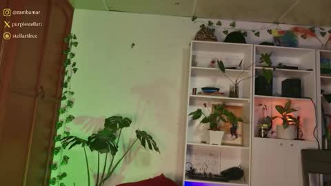 stellart_ online show from 3, 12, 2025