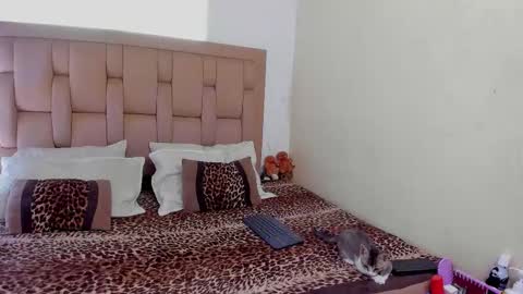 Snapshot of stepcouple__ chatting on 22, 3, 2026 Stepcouple online show from 22, 3, 2026