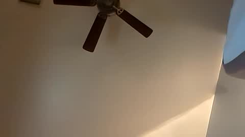 sterng123 online show from 20, 10, 2025