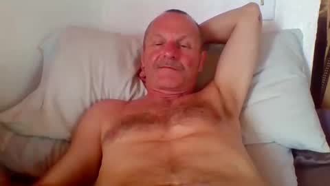 Snapshot of steviehard7 chatting on 21, 10, 2025 steviehard7 online show from 21, 10, 2025